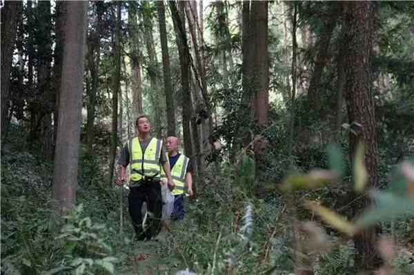 東山林場護林員開展森林巡查工作。梁平區(qū)融媒體中心供圖
