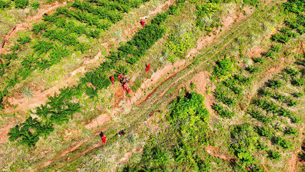 “頭號(hào)工程”鉆井施工。西南物探分公司鉆井工程中心供圖