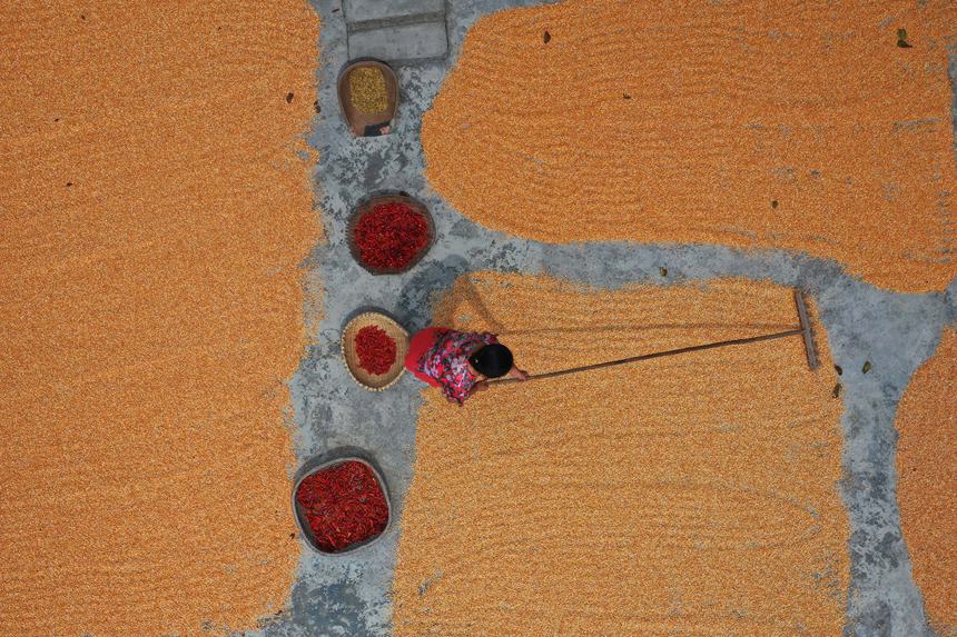 村民正在晾曬糧食。趙勇攝