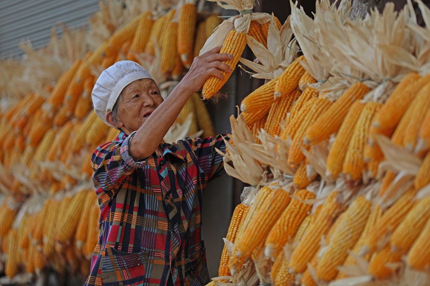 村民正在晾曬糧食。趙勇攝