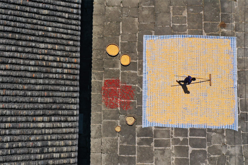 重慶市黔江區(qū)小南海鎮(zhèn)橋梁村古楓寨村民在晾曬玉米、辣椒、花生等農(nóng)作物。 楊敏攝