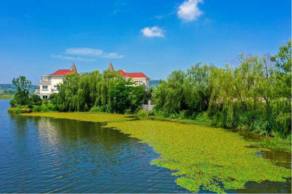 濕地美景。余先懷攝