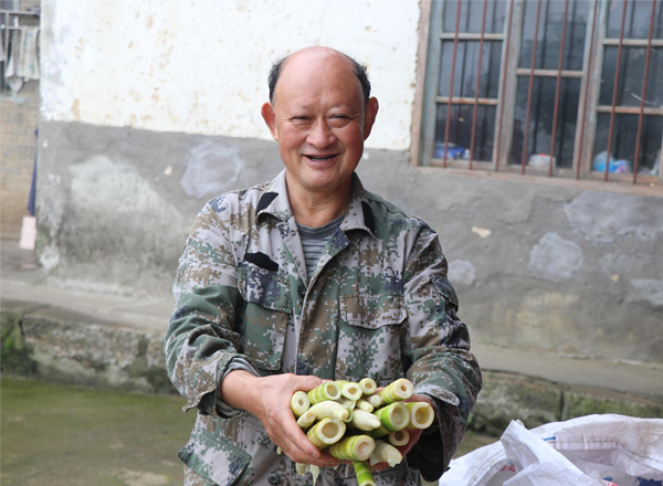 農(nóng)戶喜獲刺黑竹筍豐收，笑逐顏開。國(guó)防攝