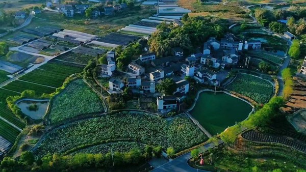 鄉(xiāng)村美景。璧山區(qū)委宣傳部供圖