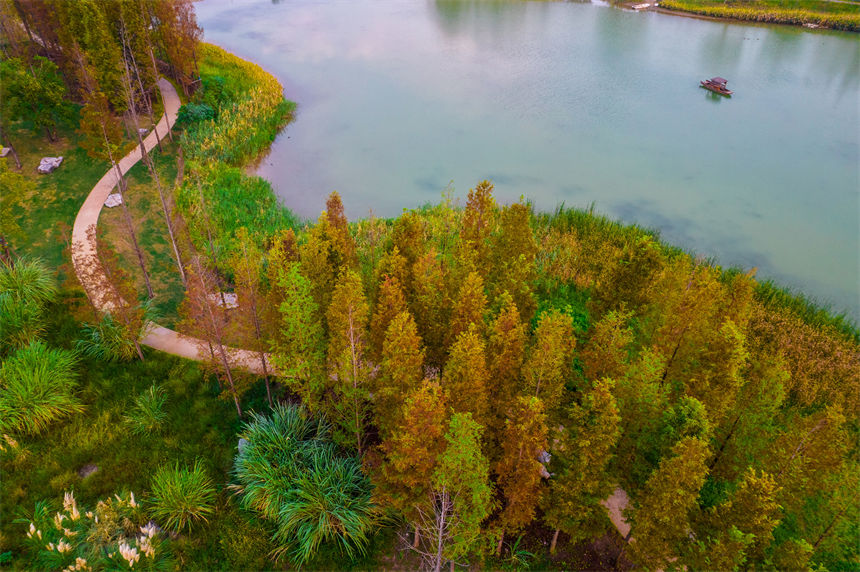 初秋時(shí)節(jié)的廣陽(yáng)島，湖光青碧，樹(shù)葉泛黃。郭旭攝