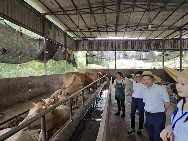 送金融服務到家。民生銀行重慶分行供圖