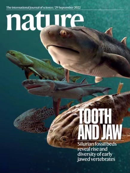 國際頂級學(xué)術(shù)期刊《Nature》封面。重慶市規(guī)劃和自然資源局供圖