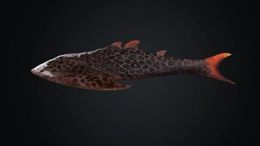 靈動(dòng)土家魚復(fù)原圖。重慶市規(guī)劃和自然資源局供圖