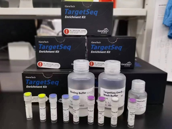 西南大學(xué)研發(fā)出全球首張油菜液相育種芯片。西南大學(xué)供圖