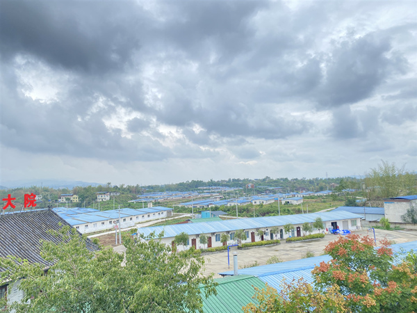 重慶日泉農(nóng)牧公司的豬場。許林佩攝