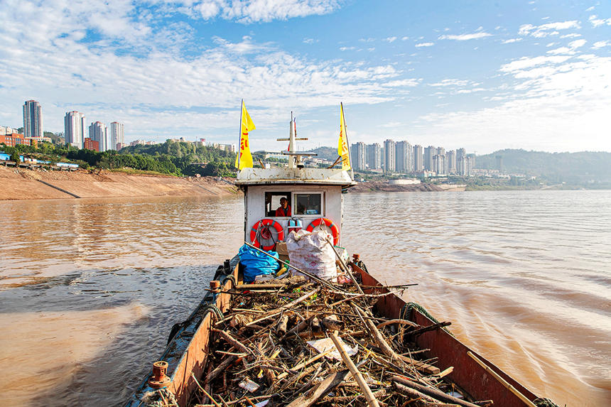 清漂工人運(yùn)輸漂浮物到清漂碼頭。余鴻攝