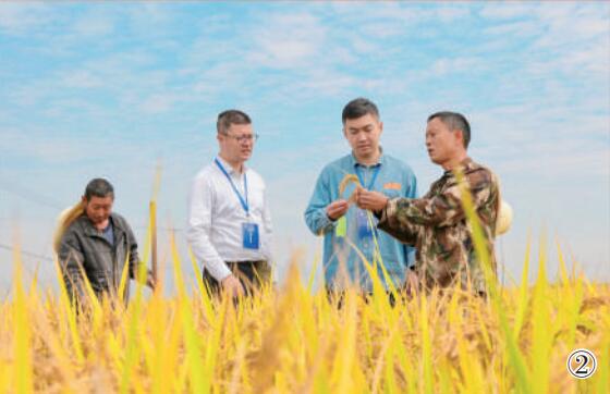 浙江省金華市婺城區(qū)紀檢監(jiān)察干部向農(nóng)戶了解惠農(nóng)政策落實情況。 田雙雙攝（影像中國）