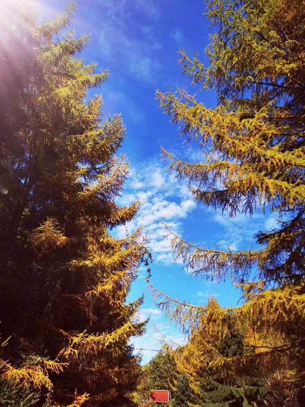 巫山秋色。李政權(quán)攝