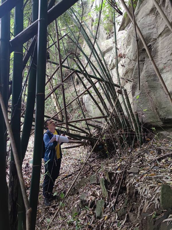 《核查危巖》。9月3日，南江地質(zhì)隊萬州辦事處技術(shù)負責(zé)廖學(xué)海來到萬州區(qū)五橋街道核查野貓洞危巖。李華志攝