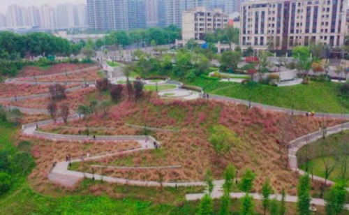 跳墩河公園內(nèi)的粉黛。兩江新區(qū)供圖