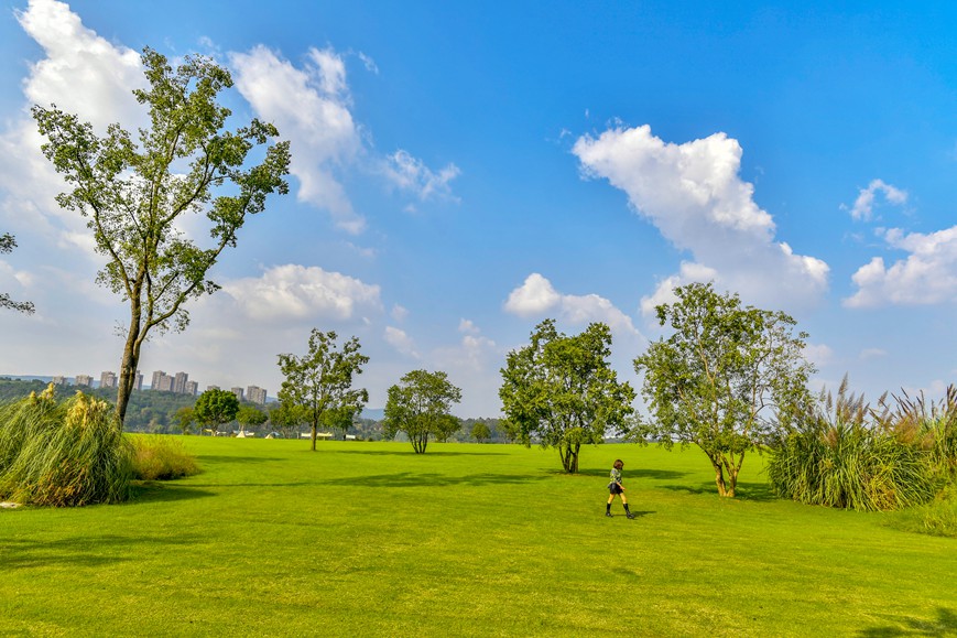 秋色迷人的重慶廣陽(yáng)島。崔景印攝
