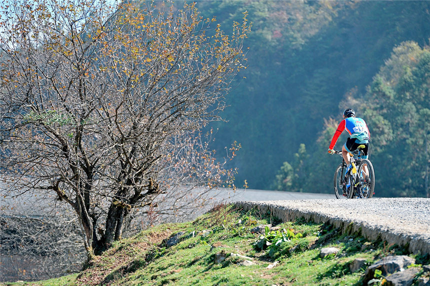 運(yùn)動員在比賽中。