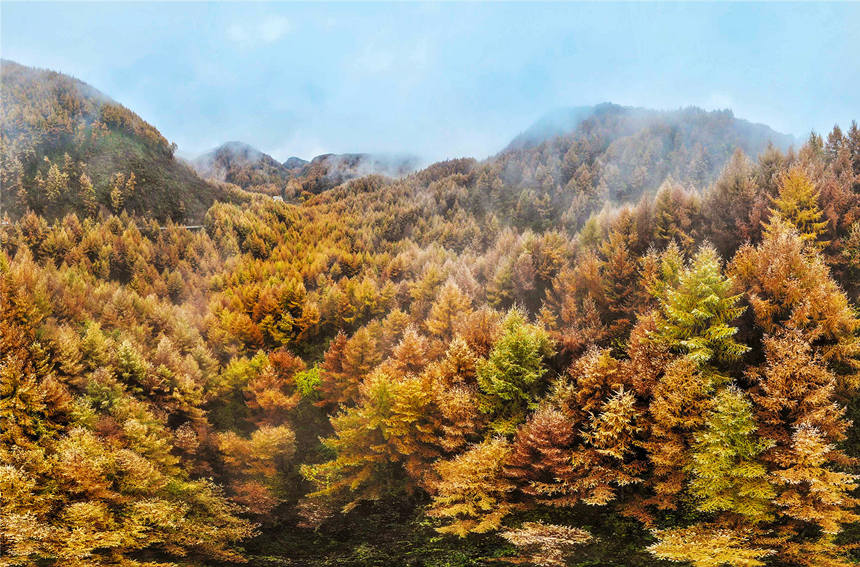 巫山梨子坪秋景。陳光國攝