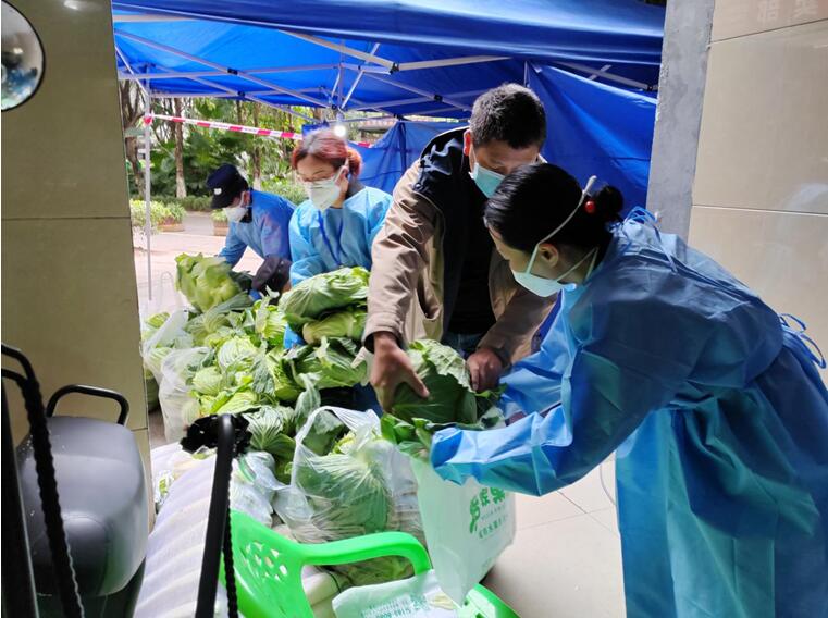 巴渝民宿集團所屬渝地物業(yè)公司七季城項目工作人員聯系蔬菜供應商為業(yè)主提供2噸白菜，做好生活物資保障。渝地物業(yè)供圖