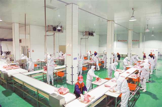 重慶琪金集團(tuán)定點(diǎn)屠宰廠，工作人員正在對豬肉進(jìn)行分裝打包。（受訪者供圖）