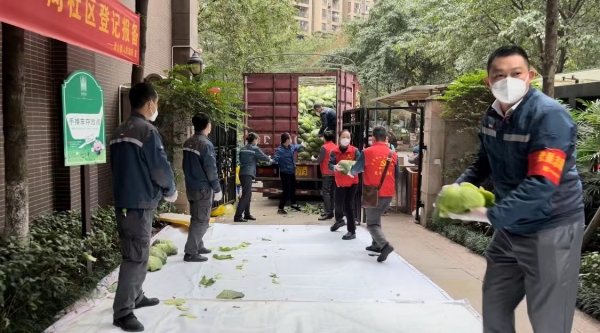 志愿者們有序?qū)坌氖卟朔謷?、打包。南岸區(qū)委宣傳部供圖