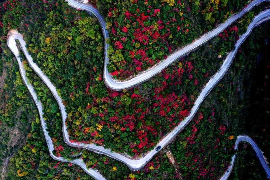重慶市巫山縣竹賢鄉(xiāng)下莊村初冬景色。王忠虎攝