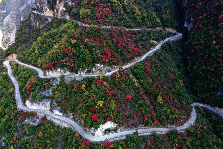 絕壁“天路”兩旁層林盡染，風(fēng)景如畫。王忠虎攝