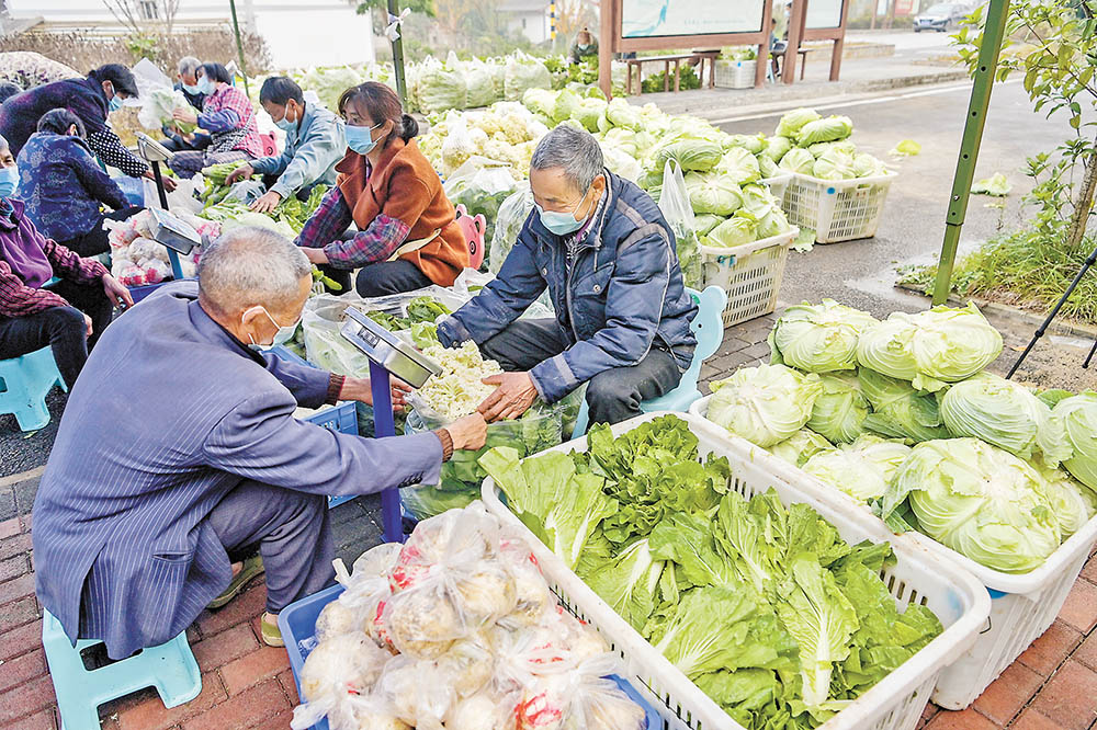 分揀 11月23日，天險洞村蔬菜包臨時分揀點，村民在分揀蔬菜。