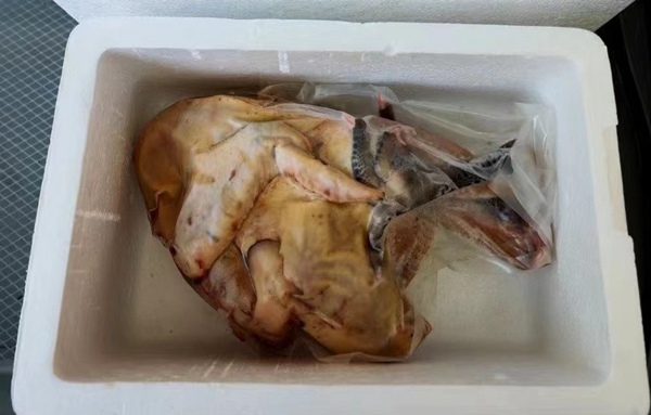 銅梁黑雞。銅梁區(qū)供銷(xiāo)合作社供圖