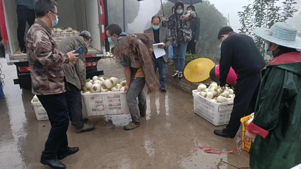 助農(nóng)銷售農(nóng)產(chǎn)品。圣燈山鎮(zhèn)供圖