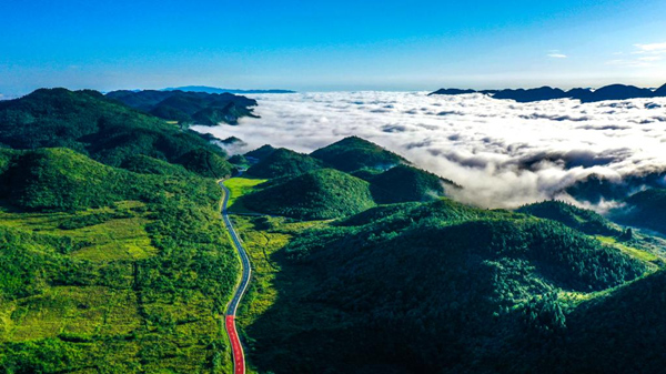 菖蒲-花田景區(qū)。酉陽旅投供圖