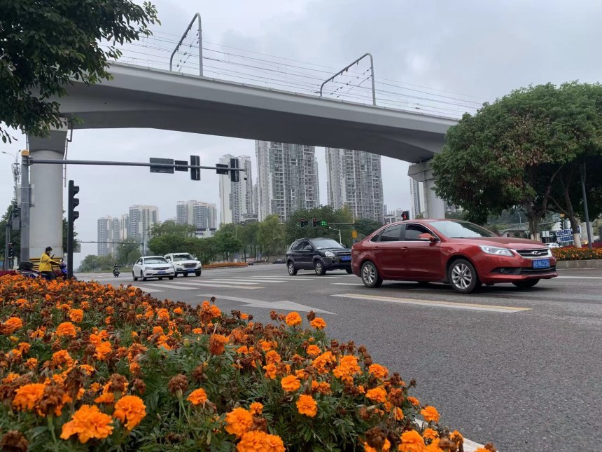 重慶高新區(qū)街頭的車輛有序出行。雷鍵攝