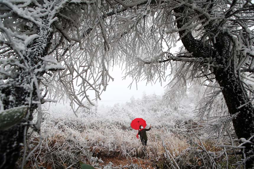 冰晶玉樹宛如仙境的霧凇景觀吸引游人觀賞拍照。楊敏攝