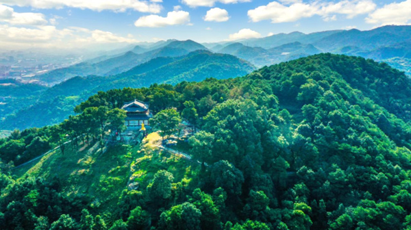 城市“肺葉”中梁山。九龍坡區(qū)委宣傳部供圖