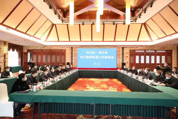 座談會(huì)現(xiàn)場(chǎng)。合川區(qū)委宣傳部供圖