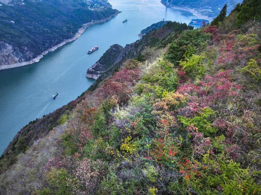 長(zhǎng)江瞿塘峽一帶景色宜人，秀美如畫。王正坤攝