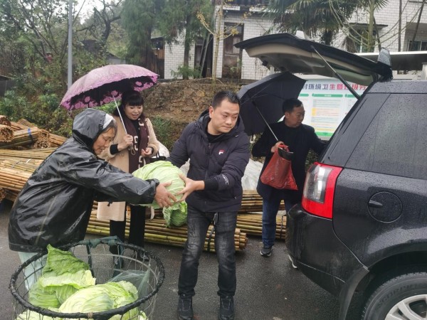 餐飲企業(yè)上門收購(gòu)蔬菜。譚鳳攝
