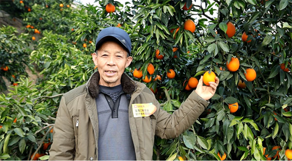 品浪優(yōu)選合作果農(nóng)。大龍網(wǎng)供圖