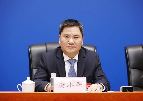 重慶市人大代表、沙坪壩區(qū)委書記唐小平發(fā)言。華龍網(wǎng)供圖