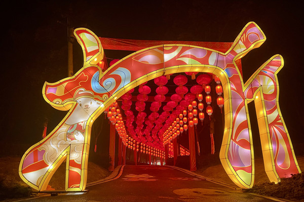 去梁平品民俗賞花燈。梁平區(qū)委宣傳部供圖