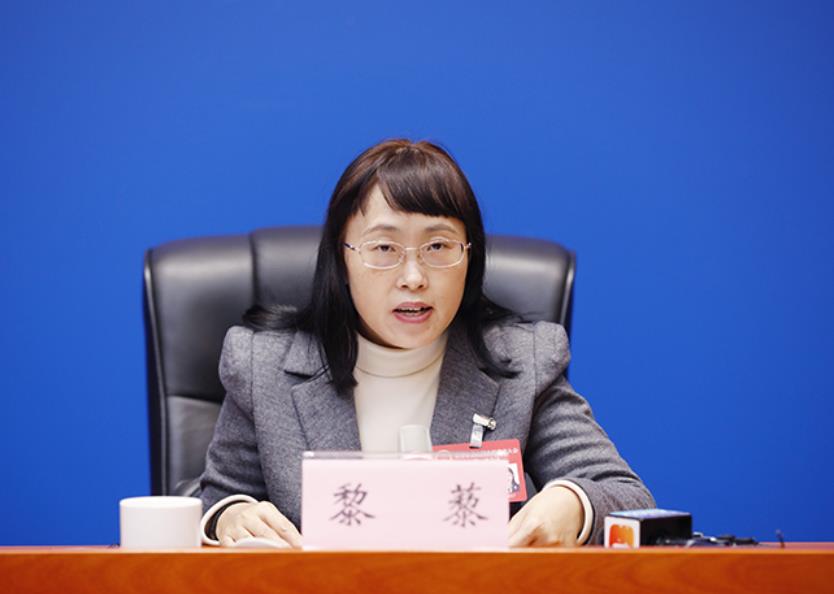 市人大代表、市人大法制委副主任委員黎藜介紹有關(guān)情況。華龍網(wǎng)供圖