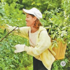 戴巧紅。喻啟耀攝