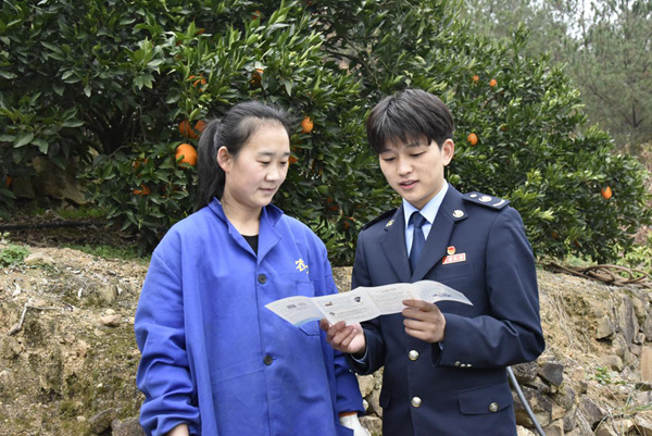 重慶奉節(jié)縣稅務(wù)局工作人員走進重慶火紅農(nóng)業(yè)科技有限公司的臍橙種植基地，為企業(yè)人員宣傳輔導(dǎo)稅收優(yōu)惠政策。王曉婧攝