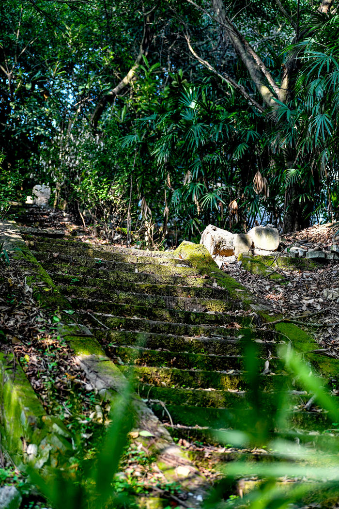 礦山公園內(nèi)曲徑通幽。曹鳴鷗攝