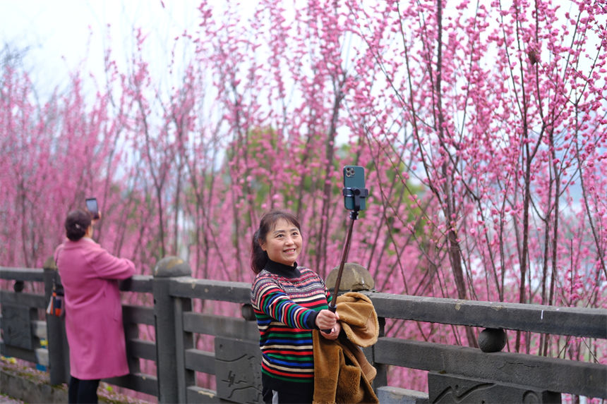 市民打卡留影享受春光。郭旭攝