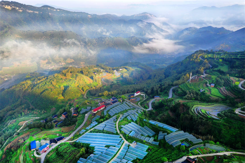 俯瞰重慶萬(wàn)盛經(jīng)開(kāi)區(qū)黑山鎮(zhèn)南門(mén)村大棚獼猴桃、瓜果基地。 曹永龍攝