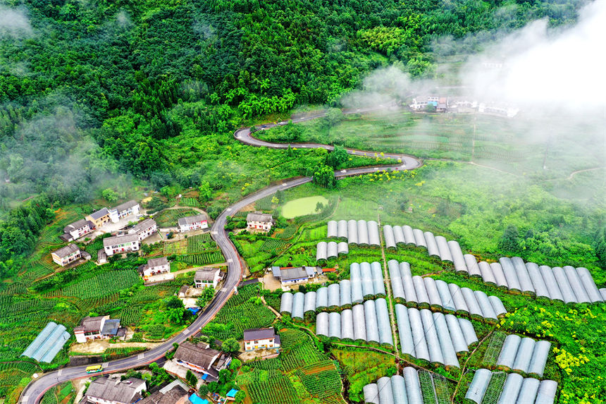 俯瞰重慶萬盛經(jīng)開區(qū)黑山鎮(zhèn)南門村大棚獼猴桃、瓜果基地。曹永龍攝