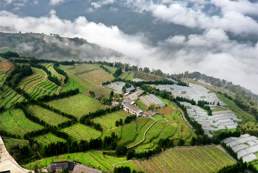 俯瞰重慶萬(wàn)盛經(jīng)開(kāi)區(qū)黑山鎮(zhèn)南門村大棚獼猴桃、瓜果基地。曹永龍攝