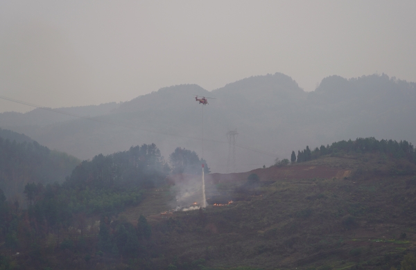 直升機(jī)高空投水滅火作業(yè)。吳莉攝