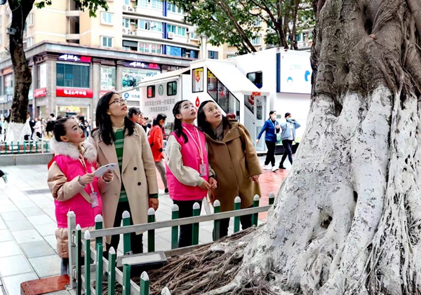 小朋友和家長一起尋找古樹。共青團(tuán)重慶市委供圖